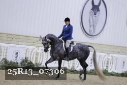 25R13_07306 thumbnail