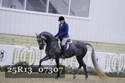 25R13_07307 thumbnail