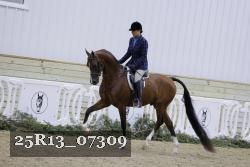 25R13_07309 thumbnail