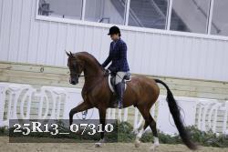 25R13_07310 thumbnail