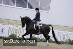 25R13_07311 thumbnail
