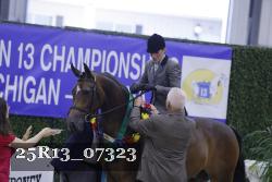 25R13_07323 thumbnail