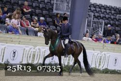 25R13_07335 thumbnail