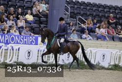 25R13_07336 thumbnail