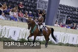25R13_07340 thumbnail