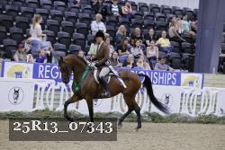 25R13_07343 thumbnail