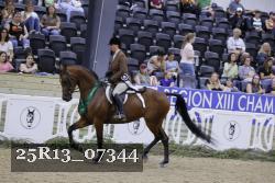 25R13_07344 thumbnail