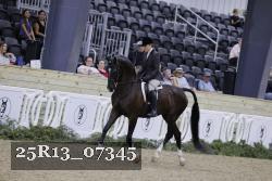 25R13_07345 thumbnail