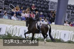 25R13_07346 thumbnail