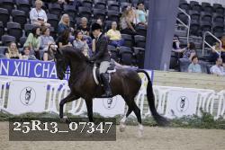 25R13_07347 thumbnail