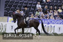 25R13_07348 thumbnail