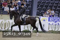 25R13_07349 thumbnail