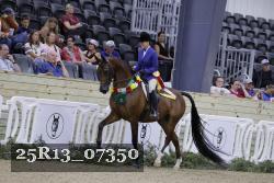 25R13_07350 thumbnail