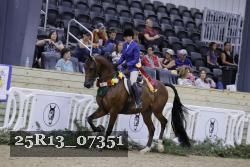 25R13_07351 thumbnail