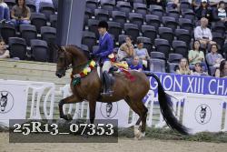 25R13_07353 thumbnail