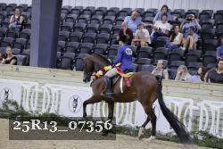 25R13_07356 thumbnail