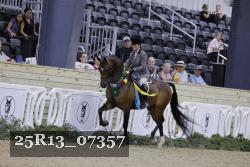 25R13_07357 thumbnail