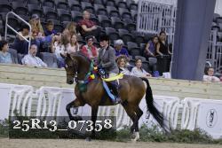 25R13_07358 thumbnail