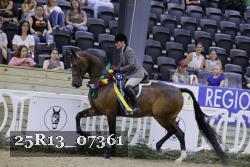 25R13_07361 thumbnail