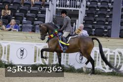 25R13_07362 thumbnail