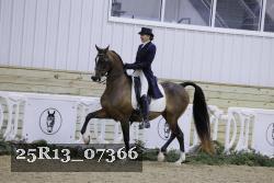 25R13_07366 thumbnail