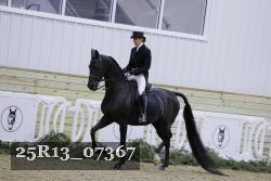 25R13_07367 thumbnail