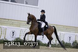 25R13_07371 thumbnail