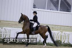 25R13_07372 thumbnail