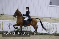 25R13_07373 thumbnail