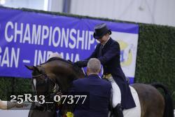 25R13_07377 thumbnail