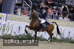 25R13_07387 thumbnail