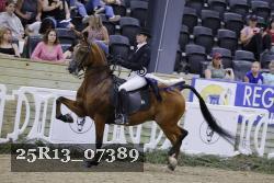 25R13_07389 thumbnail