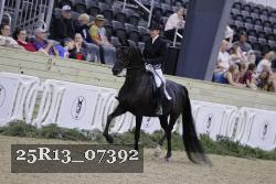 25R13_07392 thumbnail