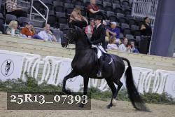 25R13_07393 thumbnail