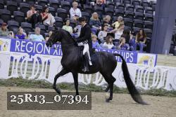 25R13_07394 thumbnail