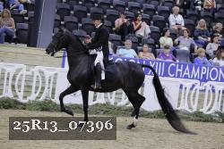 25R13_07396 thumbnail