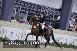 25R13_07406 thumbnail