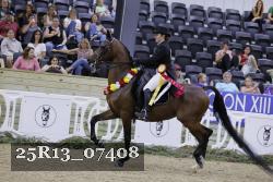 25R13_07408 thumbnail