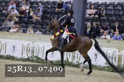 25R13_07409 thumbnail