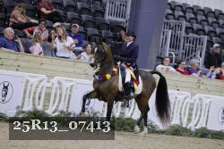 25R13_07413 thumbnail
