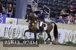 25R13_07414 thumbnail