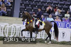 25R13_07416 thumbnail