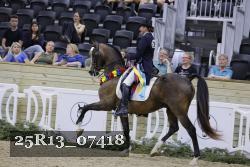25R13_07418 thumbnail
