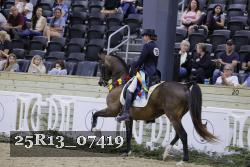 25R13_07419 thumbnail