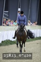 25R13_07420 thumbnail