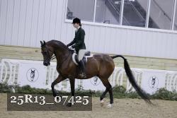 25R13_07425 thumbnail