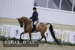 25R13_07427 thumbnail