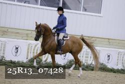 25R13_07428 thumbnail