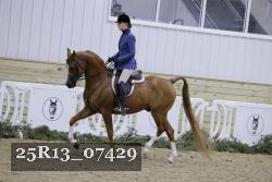 25R13_07429 thumbnail