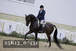25R13_07431 thumbnail